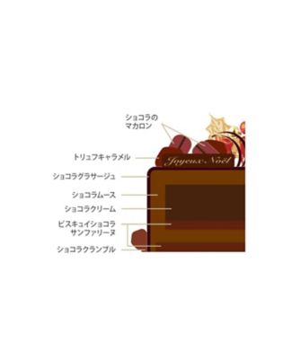 店頭受取／日本橋】［NB＿N51］ノエル ダブルショコラ 12