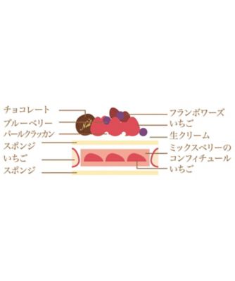 店頭受取／新宿】NS07 いちごのクリスマスPOMOLOGY