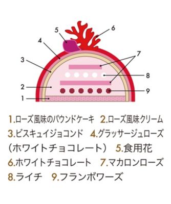 店頭受取／新宿】NS18 ビュッシュ イスパハン 12月24日（水