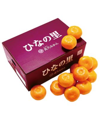 H845183】愛媛県産 真穴みかん ひなの里｜みかん・オレンジ