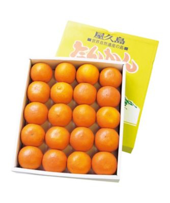 さゆい　屋久島たんかん　MS 20キロ 20363 屋久島産たんかん | 三越伊勢丹オンラインストア・通販【公式】