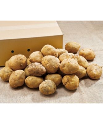 20365 鹿児島県産じゃがいも「ニシユタカ」 | 三越伊勢丹