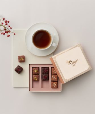 ＜POMOLOGY＞ＶＴ５０１０　フルーツショコラ９個入