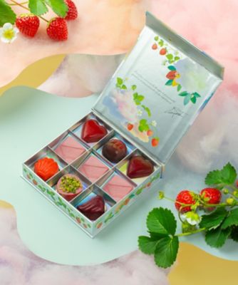 ＜Pierre Ledent＞ＶＴ５０１６　コフレ　フレーズ