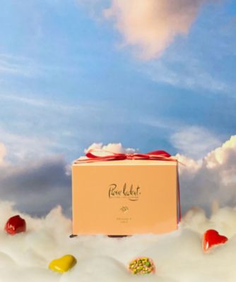 VT5017 シャトー・エトワール | Pierre Ledent/ピエール・ルドン