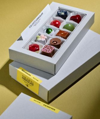 ＜Nakamura Chocolate＞ＶＴ５０５８　ナカムラセレクション１０個入