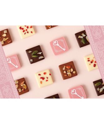 VT5068 ショコラバリエ2026 | 資生堂パーラー/シセイドウ