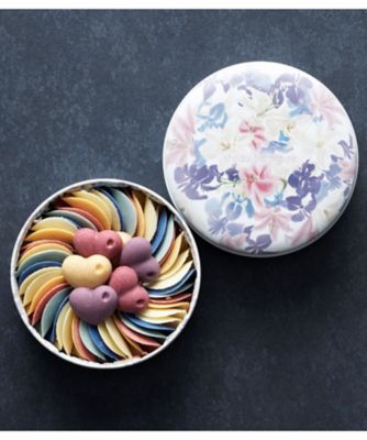 ＜shodai bio nature＞ＶＴ５０７０　ペタルクールアイリス