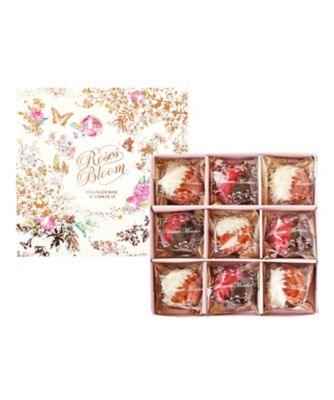 ＜メゾン・ド・モンシェール＞ＶＴ５０９３　ローズブルーム　９個入