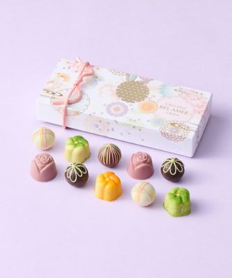 ＜ベルアメール京都別邸＞ＶＴ５１１３　彩ショコラ１０個