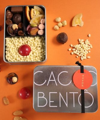 VT5150 カカオ弁当 | ラ・テール洋菓子店/ラ・テールヨウガ