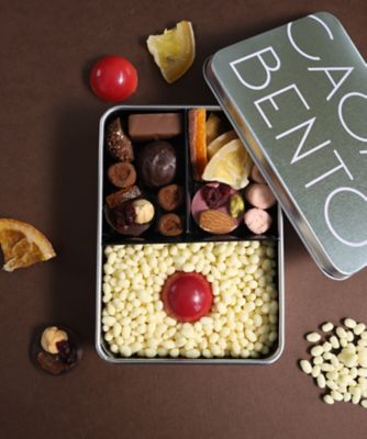 VT5150 カカオ弁当 | ラ・テール洋菓子店/ラ・テールヨウガ