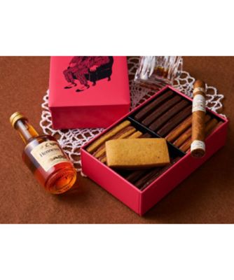 ニオイシュロラン ドラセナ 切り株 ヒコバエ 引き取り限定 【観葉植物