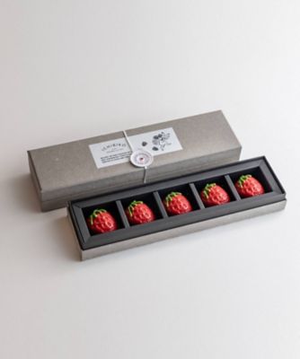 N2152 ICHIBIKO いちごチョコクランチBOX 5個入