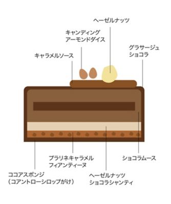 *ショコラ* オーダーページ ザ・ショコラクチュール6個入 ザ・テイラー公式通販