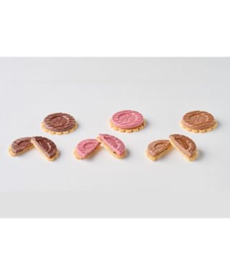 SDC0098 プティ アッシュ グルマンド FH26－01