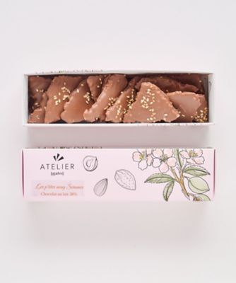 SDC0128 プティ ヌーグ セザム GA26－06 | Atelier Gato