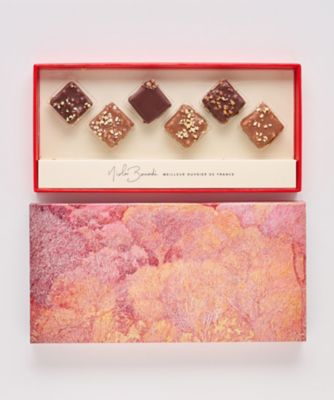 SDC0171 コフレ プラリネ NB26－08 | Nicolas BERNARDE