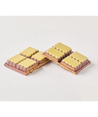 SDC0184 タブレット ノワール ピスターシュ OV26－11