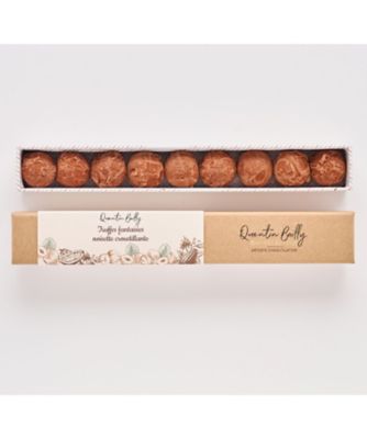 SDC0237 トリュフ ファンテジー ノワゼット QB26－05