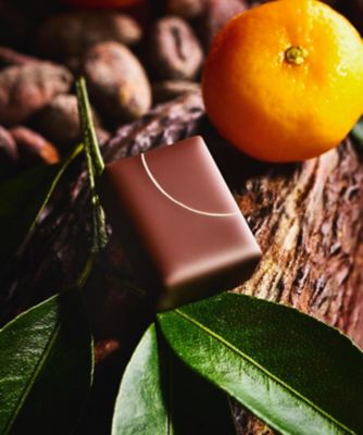 チョコチョコ　冬の服何点かセール中パール柑３Ｌ20kg SDC0494 日本柑香 | LE CHOCOLAT DE H/ル ショコラ ドゥ