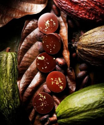 SDC0507 パレドオール 4個入 | CHOCOLATIER PALET D'OR