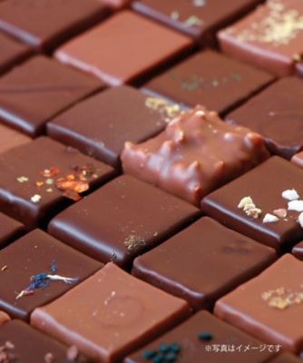 SDC0558 エクラン ～ プラリネ ガナッシュ 9種アソート