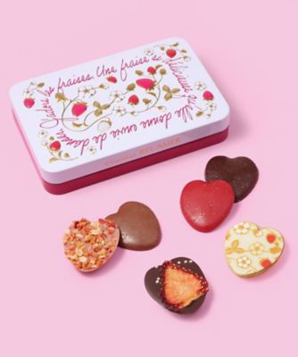 SDC0606 苺のミニマンディアン | BEL AMER/ベルアメール | 三越