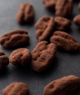 SDC0852 The pecan nuts chocolat／ザ