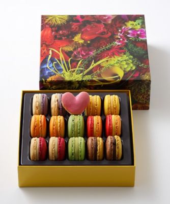 SW135 マカロン15個詰合わせ | PIERRE HERME PARIS/ピエール