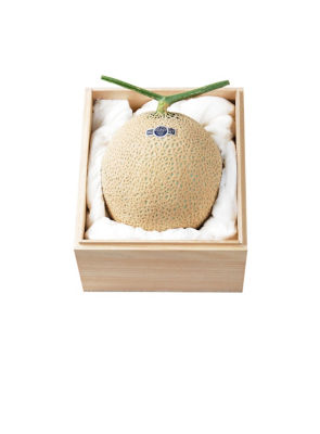 ISETANFRUIT 静岡県産 優良生産者マスクメロン | MI