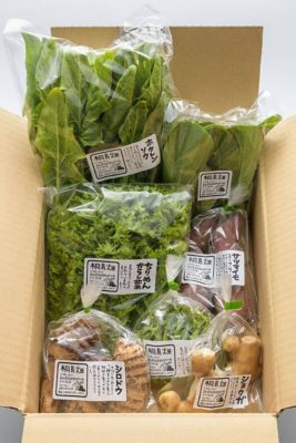 ＜しまんと流域野菜＞しまんと流域農業セット