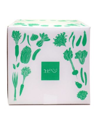 ＜海老原ファーム＞季節のお野菜セット