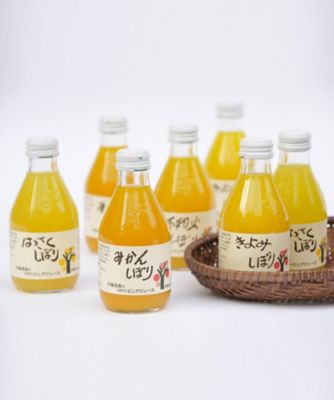 伊藤農園/イトウノウエン ピュアジュース１５本セット