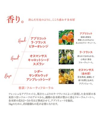 ロクシタン（LOCCITANE） オスマンサス ハンドクリーム ３０ｍＬ 通販