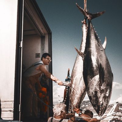＜ＡＲＭＡＴＯＲＥ社＞地中海産クロマグロのオイル漬け（赤身）