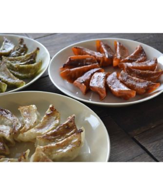 餃子の餃天/ギョウザノギョウテン 餃子の餃天　３種４８個セット
