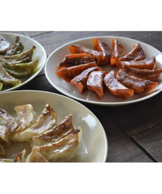 餃子の餃天/ギョウザノギョウテン 餃子の餃天　４種４８個セット