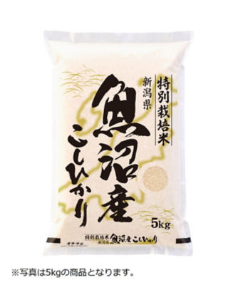 新潟県魚沼産こしひかり特別栽培米