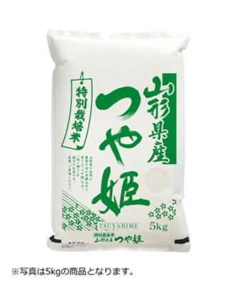 予約販売 新田様専用 特別栽培米つや姫 ➕精米 - 食品