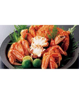 ４７６０６３ ギフト オブ グルメ 三越伊勢丹 味覚百景 餐 さん コース 冊子タイプ ギフトオブグルメ 三越伊勢丹 味覚百景 の通販 三越 オンラインストア