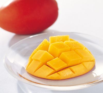 ４７６２６３ ギフト オブ グルメ 三越伊勢丹 味覚百景 匠 しょう コース カードタイプ 味覚百景 カードタイプ の通販 伊勢丹オンラインストア