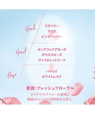 ロクシタン（LOCCITANE） ローズ ハンドクリーム ３０ｍＬ 通販