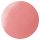 13 spring coral