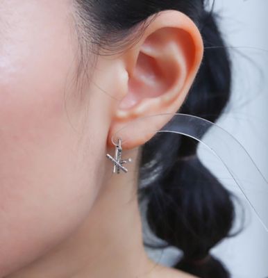 Ａｓｔｅｒｉｓｍペアピアス