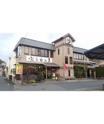 紀州備長炭で焼き上げた梅酢やきとり（５本×５パック）