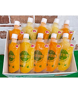 島の駅しまなみ1/シマノエキシマナミ1 そのまんま１００％柑橘冷凍ジュースセット（１０本入り）