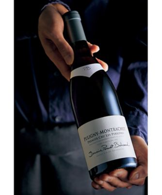 人気no 1 本体 お中元 ギフト ノンアルコール オッドバードブランドブランスパークリングロゼ セット ノンアルコールワイン シャンパン スパークリングワイン ノンアルコールシャンパン ノンアル ワイン ノンアルコールスパークリング プチギフト Gefert Com Br