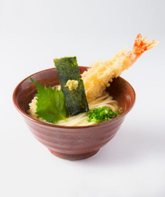 讃岐天ぷらうどんときつねうどんの詰合せ ＤＸ－８ | フード・食品 