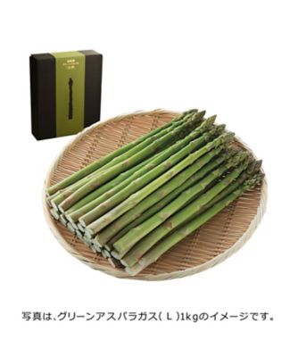 ２３ ハウス栽培 旭川市 野中農園 グリーンアスパラガス 冷鮮 グリーン ｌ １ｋｇ ４月中旬より受付順に発送 アスパラ の通販 丸井今井オンラインストア